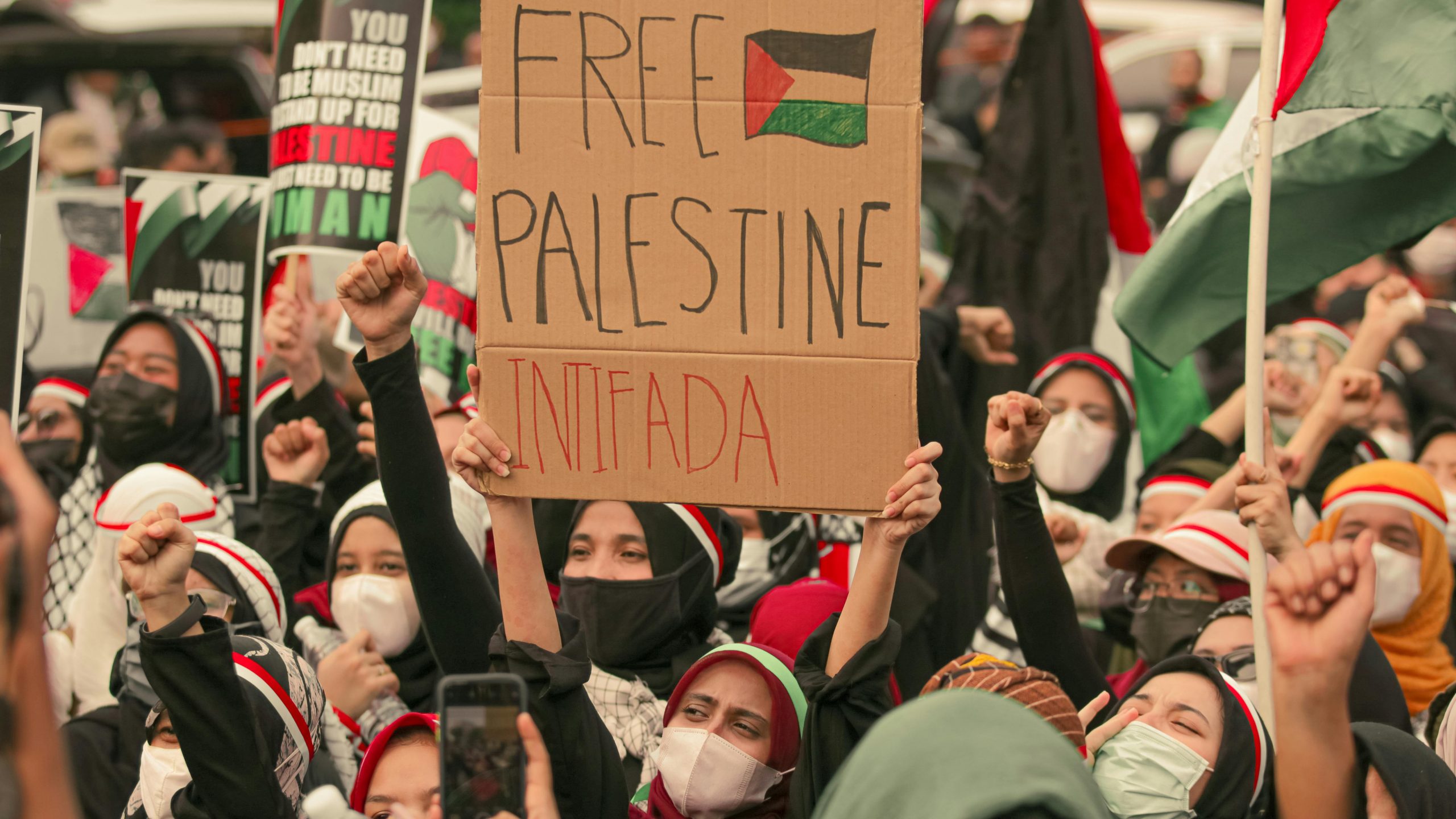 Pro-Palestinian Protestors